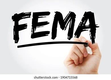 How Prepared Are We? A Look into FEMA’s 2024 National Household Survey