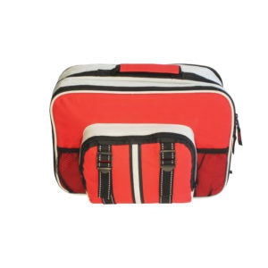 Auto Bag for Trunk or Under-Seat Storage (Includes Folding Floor Mat)